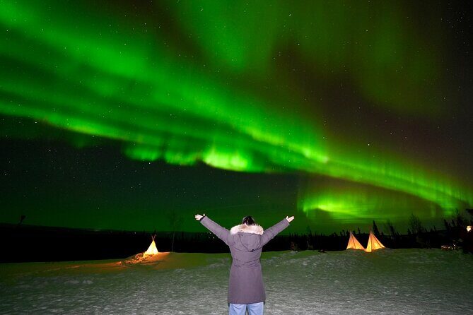 Best Alaskan Cabin Aurora Viewing with Photography @Aurora Camp - Key Points