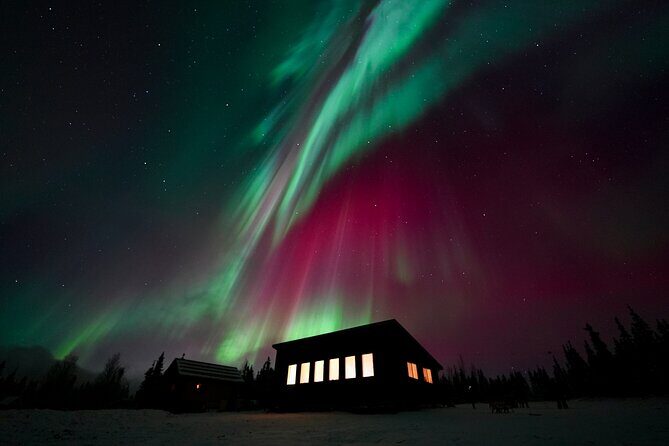 Best Alaskan Cabin Aurora Viewing with Photography @Aurora Camp - A Cozy Spot for Aurora Viewing with Authentic Hospitality