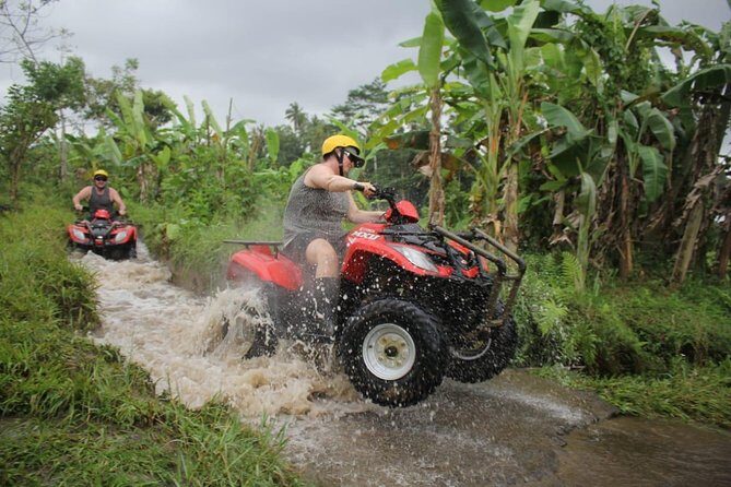 BEST ATV RIDE and Ubud Cultural Tours - A Full Breakdown: What Makes This Tour Stand Out