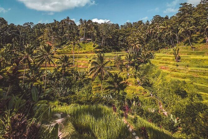 Best Bali Day Tour - FAQ