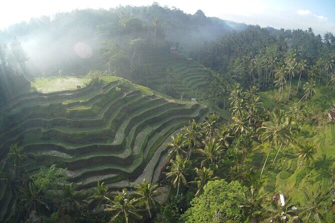Best Bali Private Full Day Tour to Visit Ubud Village - Kintamani Batur Volcano - Exploring Bali’s Must-See Stops in Detail
