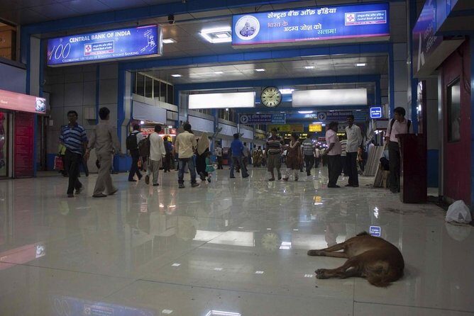 Best Bicycle Tour In Mumbai - A Detailed Look at the Mumbai Bicycle Tour Experience