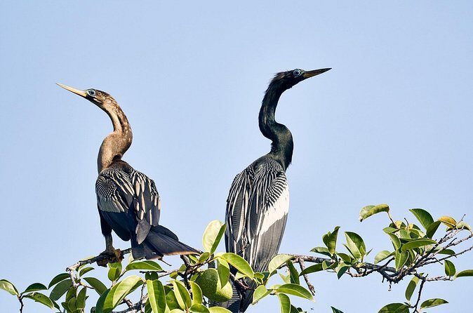 Best Birdwatching Lagoon Tour - Frequently Asked Questions