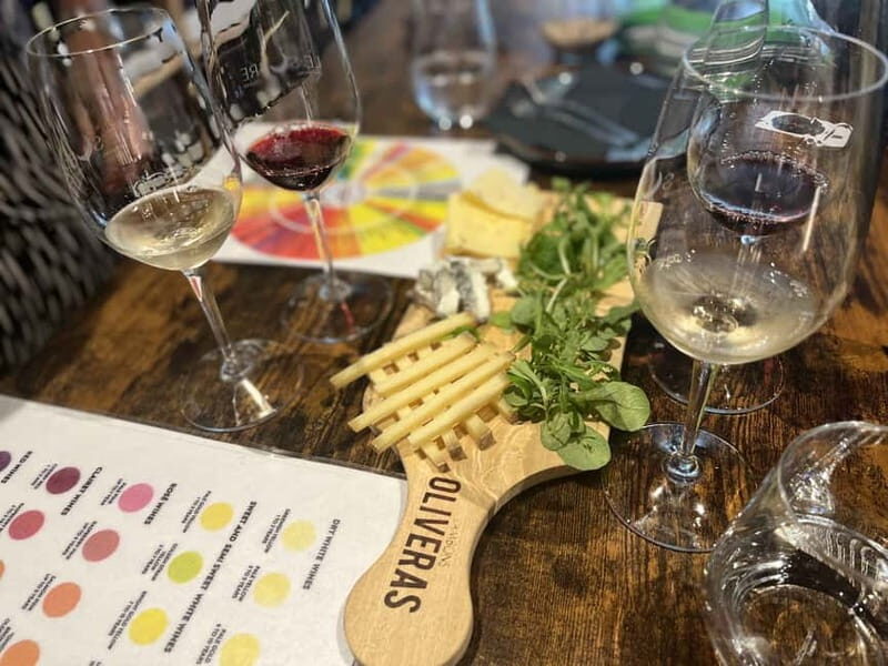 Best : Bordeaux Walking Tour + 1 Wine glass - Who Is This Tour Best For?