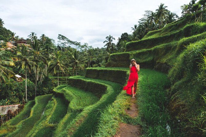 Best Day Trip in Bali - Exploring Ubud’s Sacred and Scenic Treasures