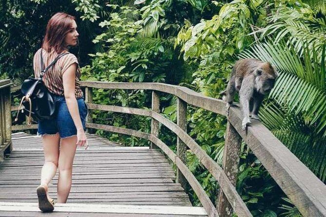 Best Day Trip in Bali - Why Travelers Love This Tour