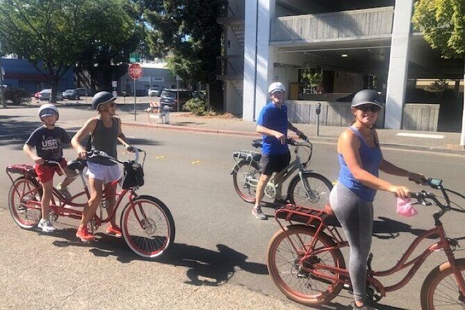 Best E-Bike Rental! Wine country fun - The Sum Up