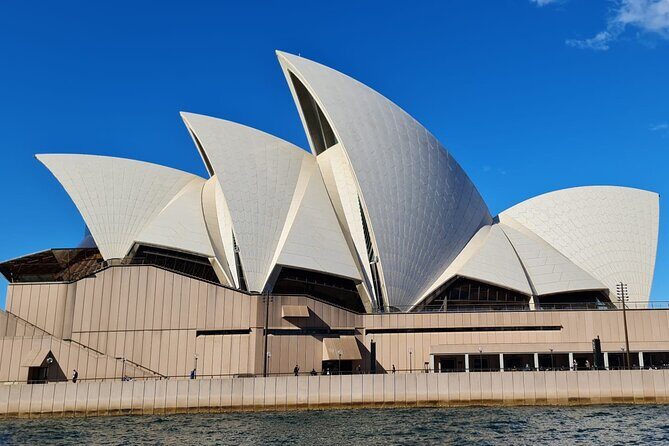 Best Free Tours Sydney! (Claim your FREE GIFT at the end!) - Relaxing in the Royal Botanic Garden