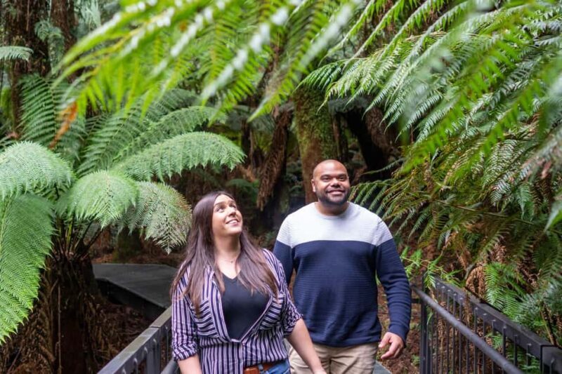 Best Great Ocean Road & 12 Apostles - Multilingual Languages - The Itinerary in Detail