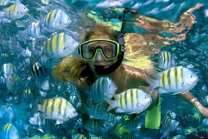 Best half-day snorkel tour: visit Kaan Luum, Yalku & Cenote - Final Thoughts