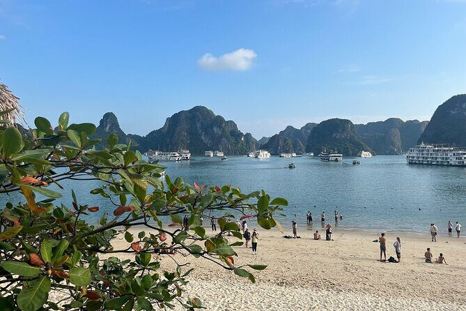Best Halong 1 Day with Premium Cruise, Buffet Meal, Sunset Party - Final Thoughts