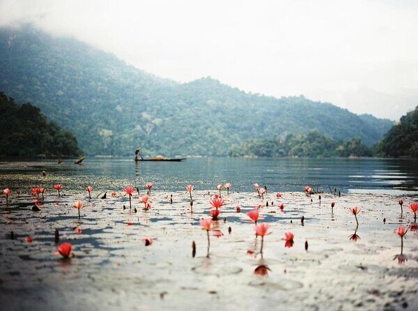 Best Hanoi - Ba Be Lake 3 Days 2 Nights Tour - An In-Depth Look at the Best Hanoi - Ba Be Lake 3 Days 2 Nights Tour
