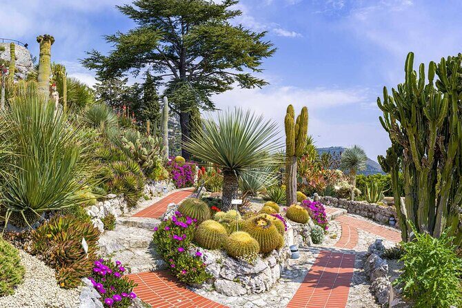 Best landscapes of the French Riviera, Monaco & Monte Carlo - Who Is This Tour Best For?