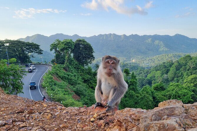 Best Lombok Rice Terrace Walking Tour With Waterfall & Monkey - Frequently Asked Questions