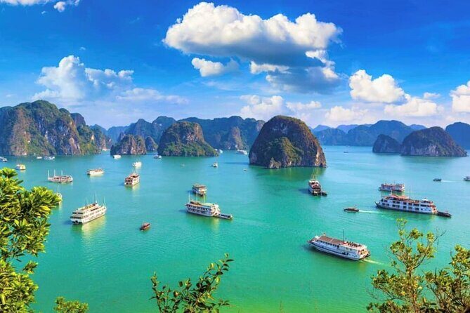 Best love - Full Day Boat Tour to Lan Ha Bay and Ha Long Bay - Who Would Love This Tour?