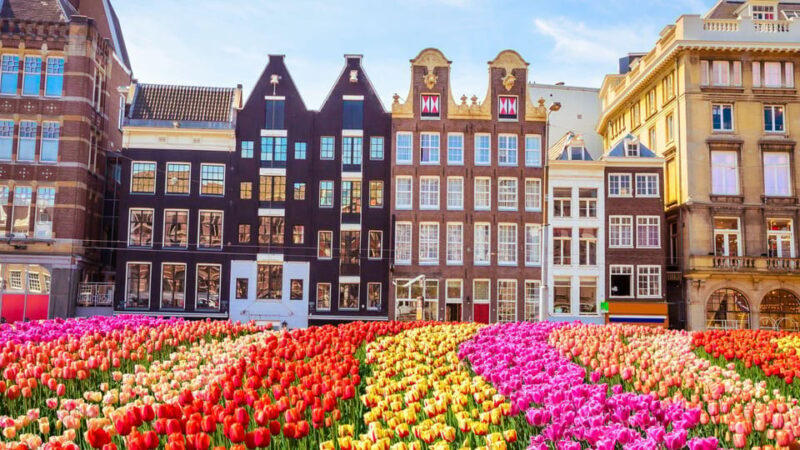 Best of Amsterdam: Private Walking Tour with a Local - Key Points