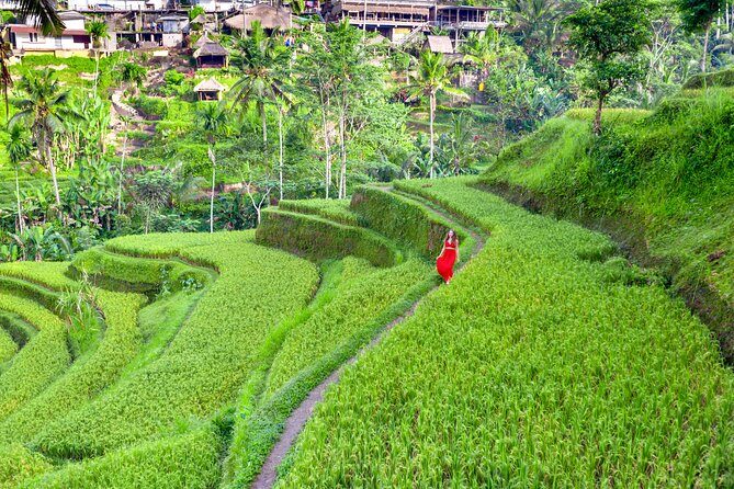 Best of Bali: Ubud All-inclusive Instagram highlights Tour - Authentic Experiences That Matter