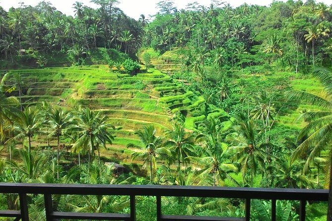 Best of Bali : Ubud, Rice terrace, Tanah lot temple with Lunch - Overview of the Tour Experience