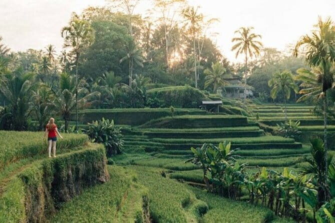 Best of Bali Ubud Tour with All-Inclusive - Key Points
