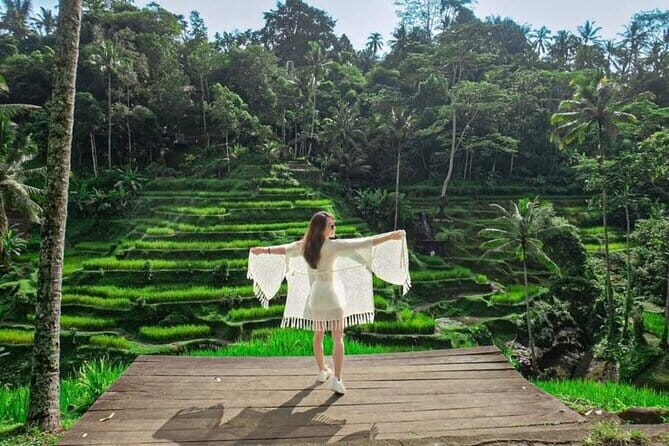 Best of Bali Ubud Tour with All-Inclusive - Who Should Consider This Tour?