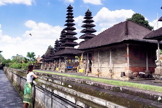 Best of Bali Water Temple and UNISCO Rice Terrace Trek - Who Is This Tour Best For?