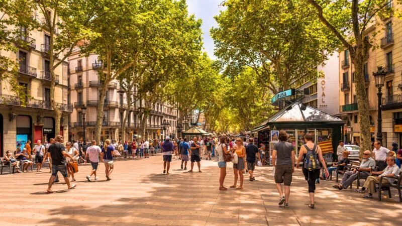 Best of Barcelona: Private Walking Tour with a Local - Exploring Barcelona with a Local Guide