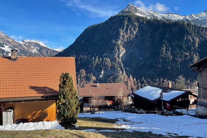 Best of Bernese Oberland & Swiss Countryside Tour - Authentic Experiences and Traveler Feedback