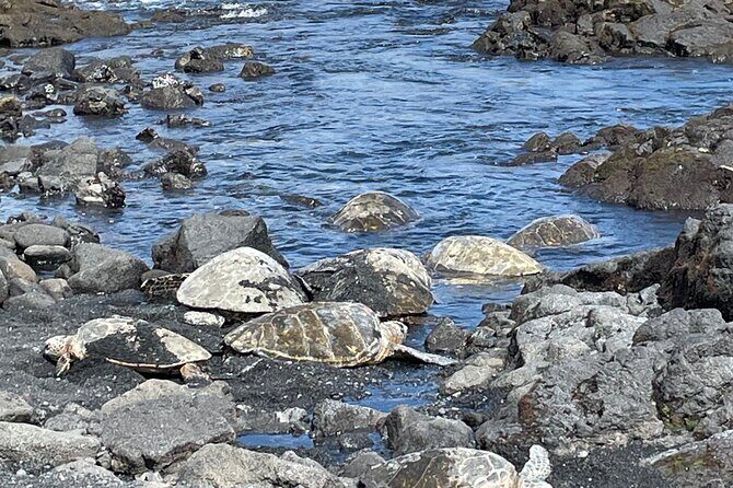 Best of Big Island: Volcanoes, Waterfall, Blacksand Beach & Lunch - Who Is This Tour Best For?