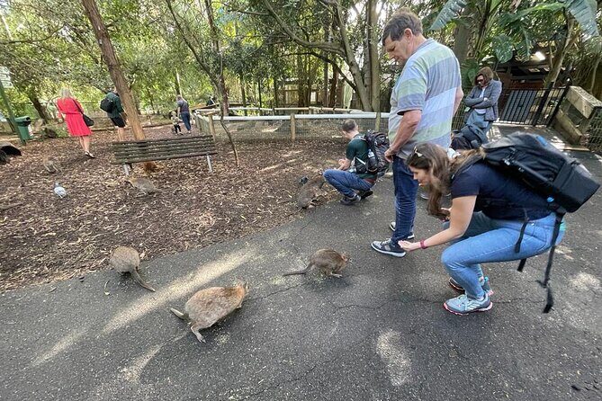 Best of Blue Mountains: Private Tour - A Deep Dive into the Blue Mountains Private Tour