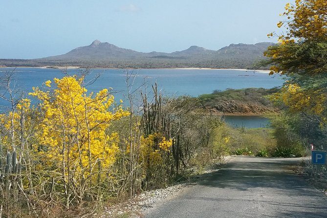 Best of Bonaire - Full island tour with a local. - Who Should Consider This Tour?