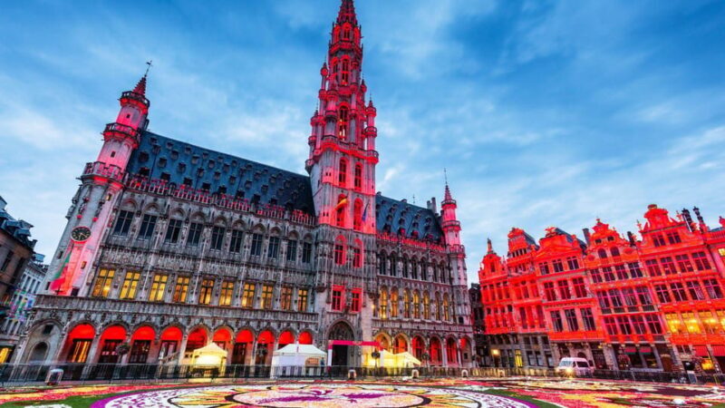 Best of Brussels: Private Walking Tour with a Local - Key Points