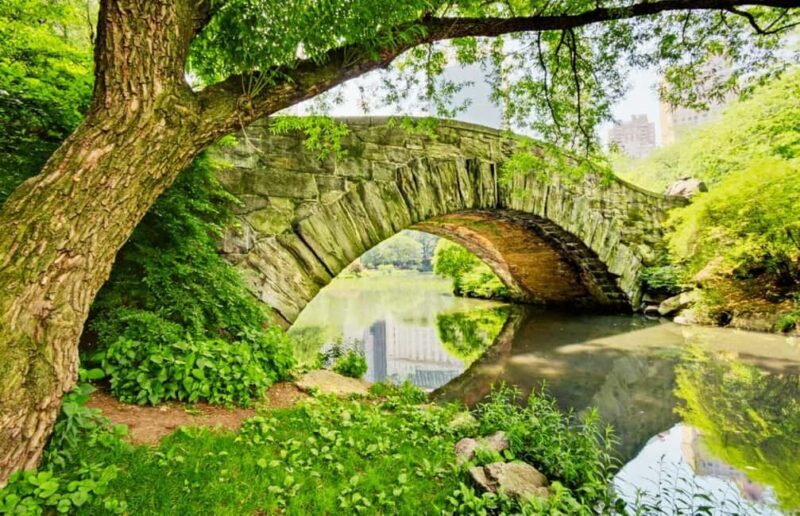 Best of Central Park: Top-Rated Pedicab Tour NYC - The Value of This Experience