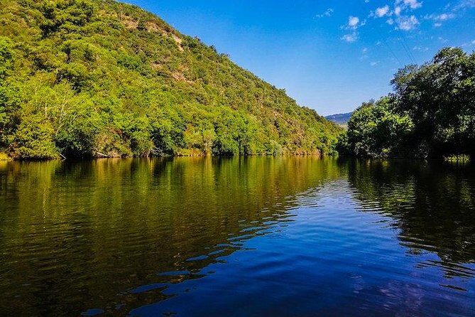 Best of Douro Valley Wine Full Day Private Tour - Experience the Best of Douro Valley Wine on a Private Full-Day Tour