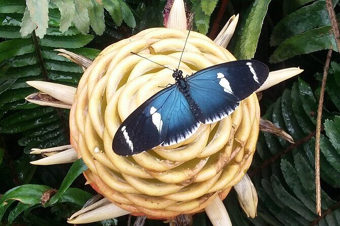 Best of Ecuador's Mainland in 10 Days - Key Points