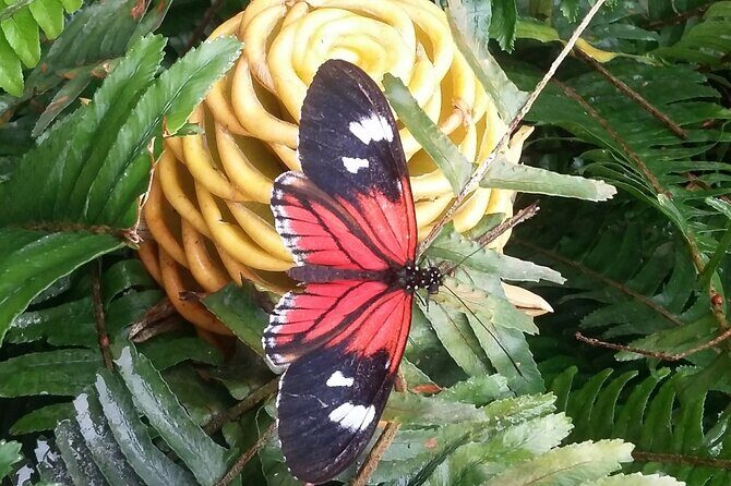 Best of Ecuador's Mainland in 10 Days - Final Thoughts