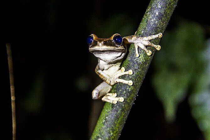 Best of Ecuador's Mainland in 14 Days - Key Points