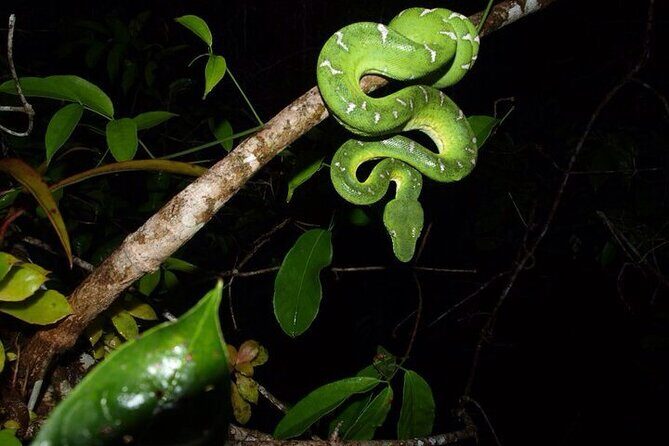 Best of Ecuador's Mainland in 14 Days - Who Is This Tour Best For?