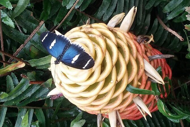 Best of Ecuador's Mainland in 14 Days - FAQs