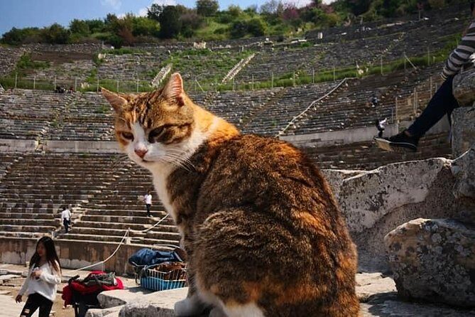 Best of Ephesus Tour - Who Will Enjoy This Tour?