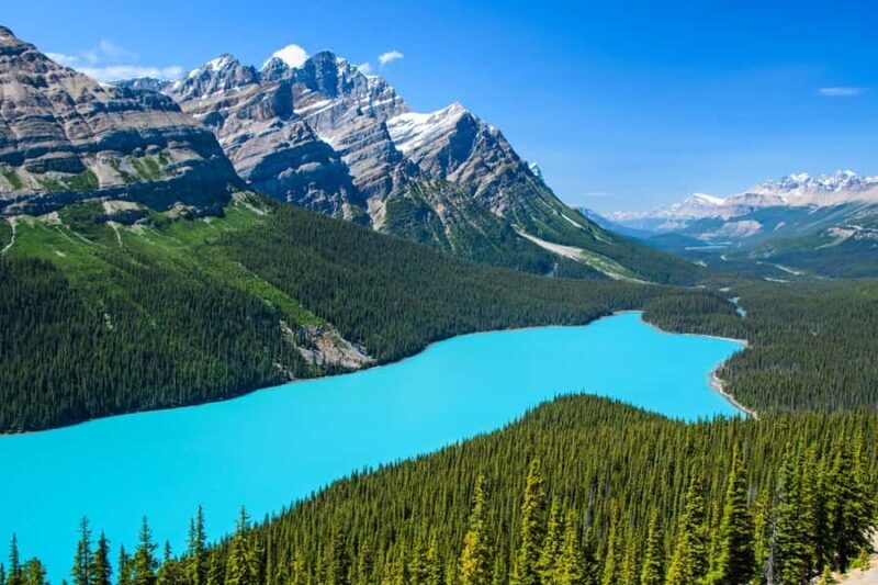 Best of Glaciers from Calgary/Canmore/Banff: Tour - Discover the Best of Glaciers from Calgary, Canmore, or Banff