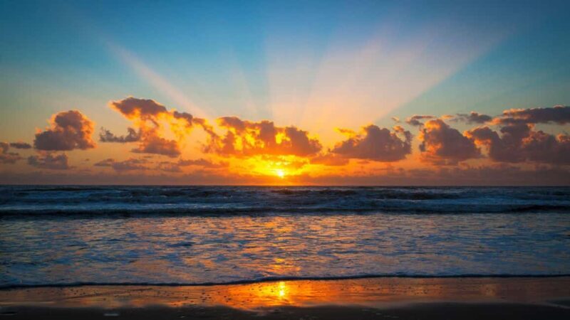 Best of Gold Coast: Private Walking Tour with a Local - FAQ