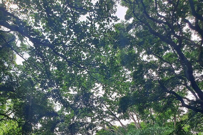 Best of Grenada Falls, Lake, Rum and Cocoa Experience - Who Will Love This Tour?