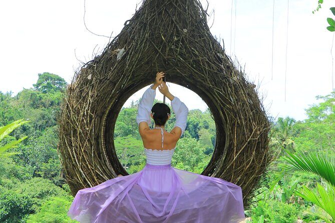 Best of Instagram Tour: Gate of Heaven, Tirta Gangga, Bali Swing - Who Is This Tour Best For?
