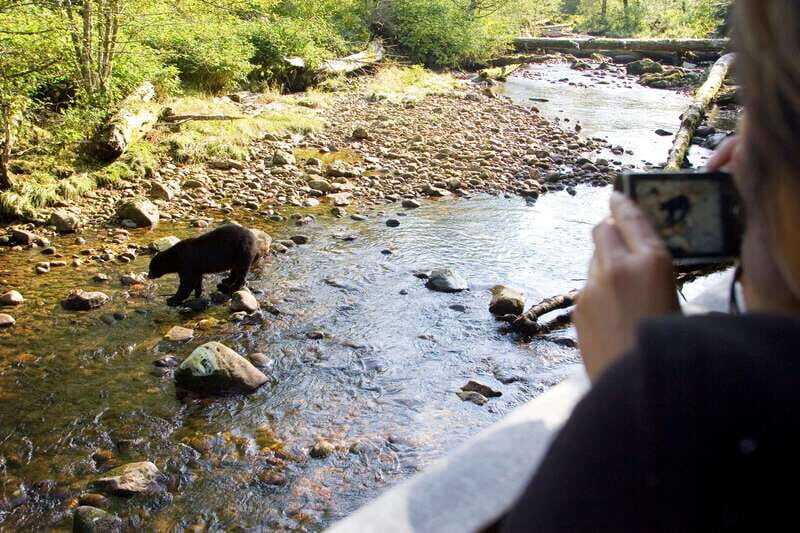 Best of Kananaskis PRIVATE SAFARI Tour + Custom Nature Walk - Exploring the Heart of Kananaskis in Comfort and Style