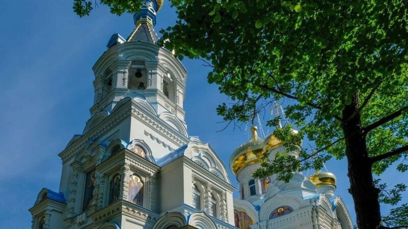 Best of Karlovy Vary Walking Tour with a Professional Guide - Breaking Down the Value