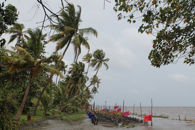 Best of Kerala - A Deep Dive into the Kerala Experience