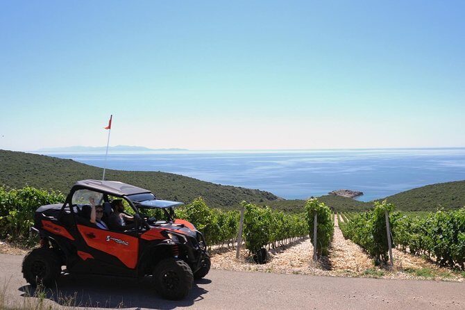 Best of Korcula island winery's by 4X4 Canam buggys with lunch - What Travelers Love About This Tour