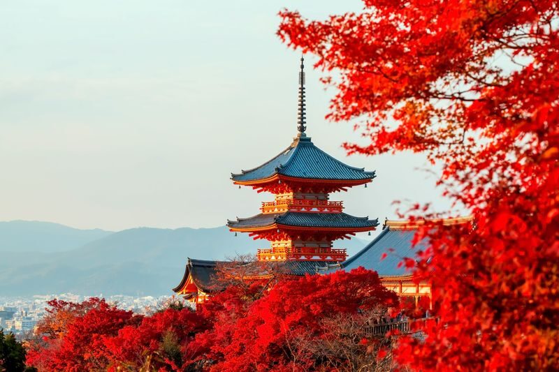 Best of Kyoto & Nara: Kiyomizudera, Nara Park, Todaiji & Much More - A full Kansai day, without changing trains
