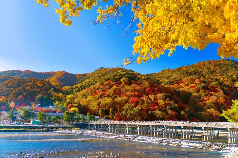 Best of Kyoto & Nara: Kiyomizudera, Nara Park, Todaiji & Much More - Nara Park and Todai-ji: deer first, Buddha next