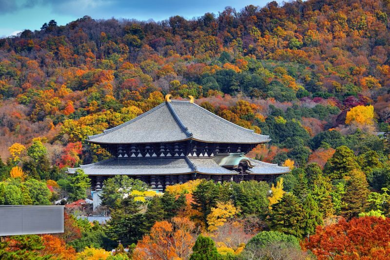 Best of Kyoto & Nara: Kiyomizudera, Nara Park, Todaiji & Much More - Kiyomizu-dera and Kyoto’s old streets